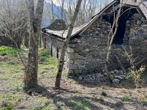 renovation grange foraine vallee des gaves-65- (5)